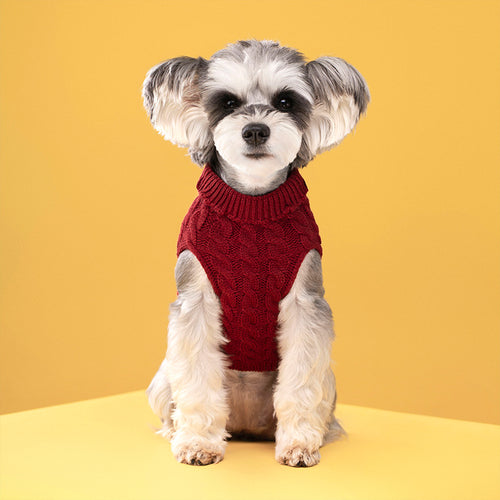 Autumn and winter pet dog warm solid color classic Fried Dough Twists sweater thickened turtleneck sweater